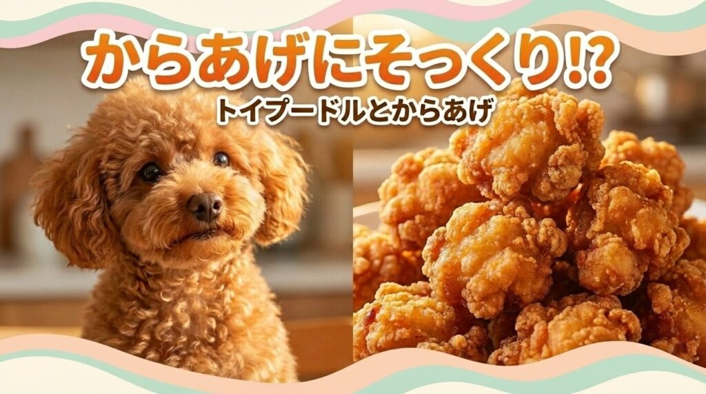 toypoodle-friedchicken